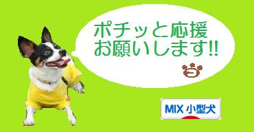 にほんブログ村 犬ブログ MIX小型犬へ
