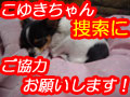 探してます