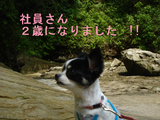 BlogPaint