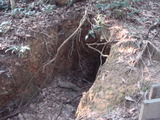 ��ƶ��Cave��