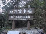 ��ë���嶮