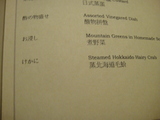 八重菊