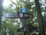 �����륽��ȥ쥤��ʱ������͡�