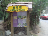 �ع���͡١�AROMA WALK)