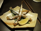 八重菊