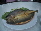 �ޥ�