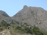 �ϰȻ�