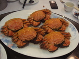 �峤��