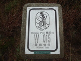 ɸ����15