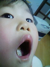 9d4a04e6.jpg