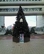 toyotasi tree