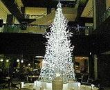 nagoya mid tree