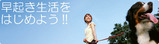 8f2729bb.jpg