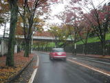 autumn