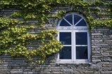 window2