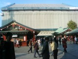 62231d79.jpg