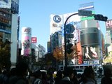 633d5210.jpg