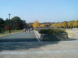 fb6a5909.jpg