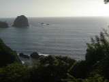 8325172a.JPG