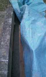 05cdf564.jpg