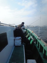 1445e111.jpg
