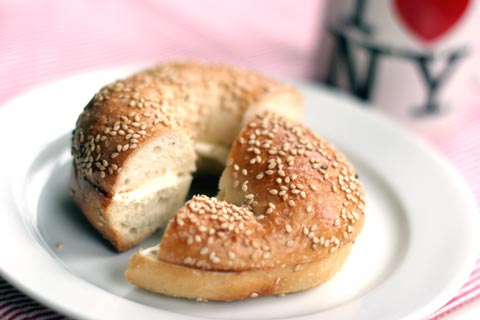 �˥塼�衼���Υ١�����ǹ���
