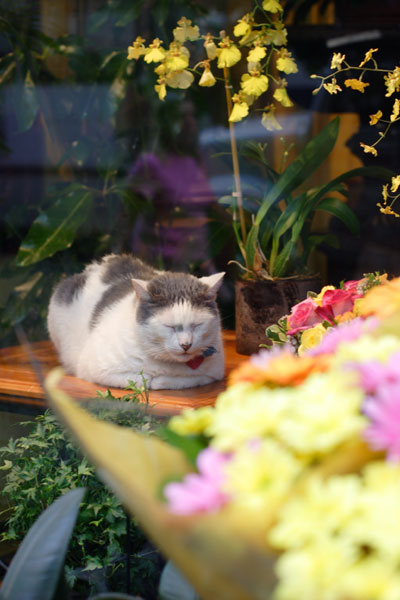 ̲��ͥ�