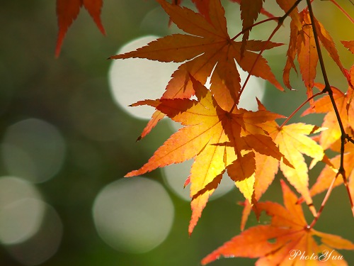 blog-08-11-158