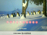 旭山動物園カレンダー2007