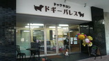 �ɥ����ѥ쥹