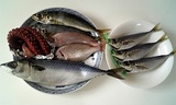 魚