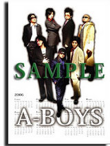 SAMPLE