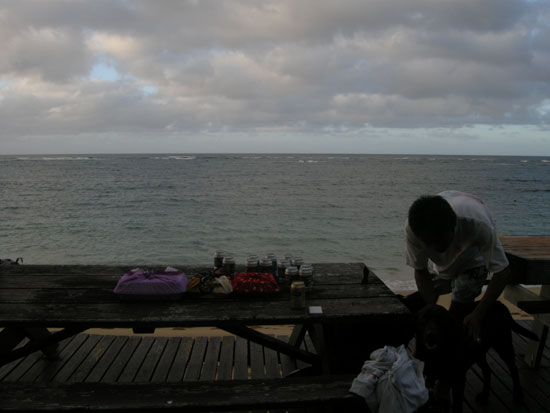 BBQ2