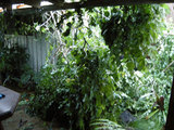 storm house