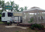 d573499c.jpg