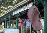 hawaiiansole1