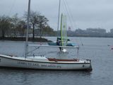wsf