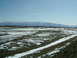 2008 2/11