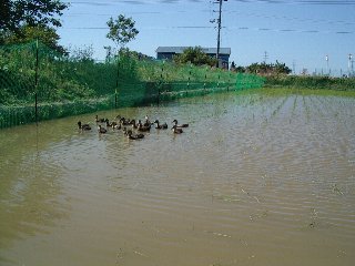 2008 6/15�������⣱