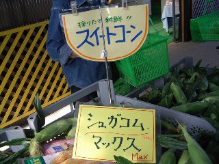 6/22��ľ���B