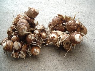 10/���ޤ뤴��Τ��