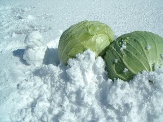 2/13����٥�