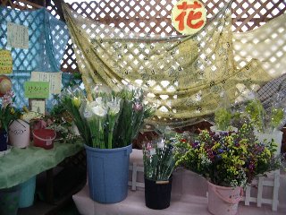 2008��5/25����