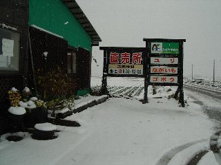 12/31a