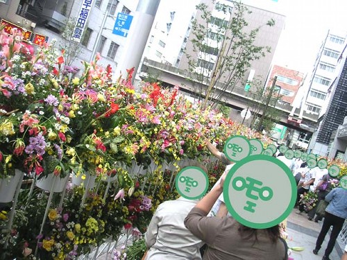 ��ɥХ������akiba15