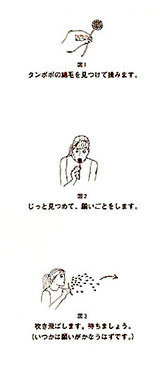 tampopo