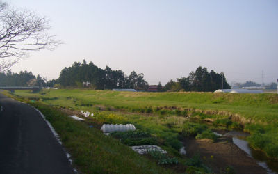 実家
