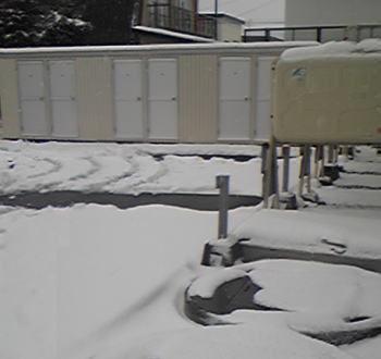初雪