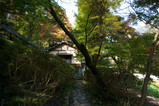 IMGP8198