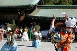 IMGP8516